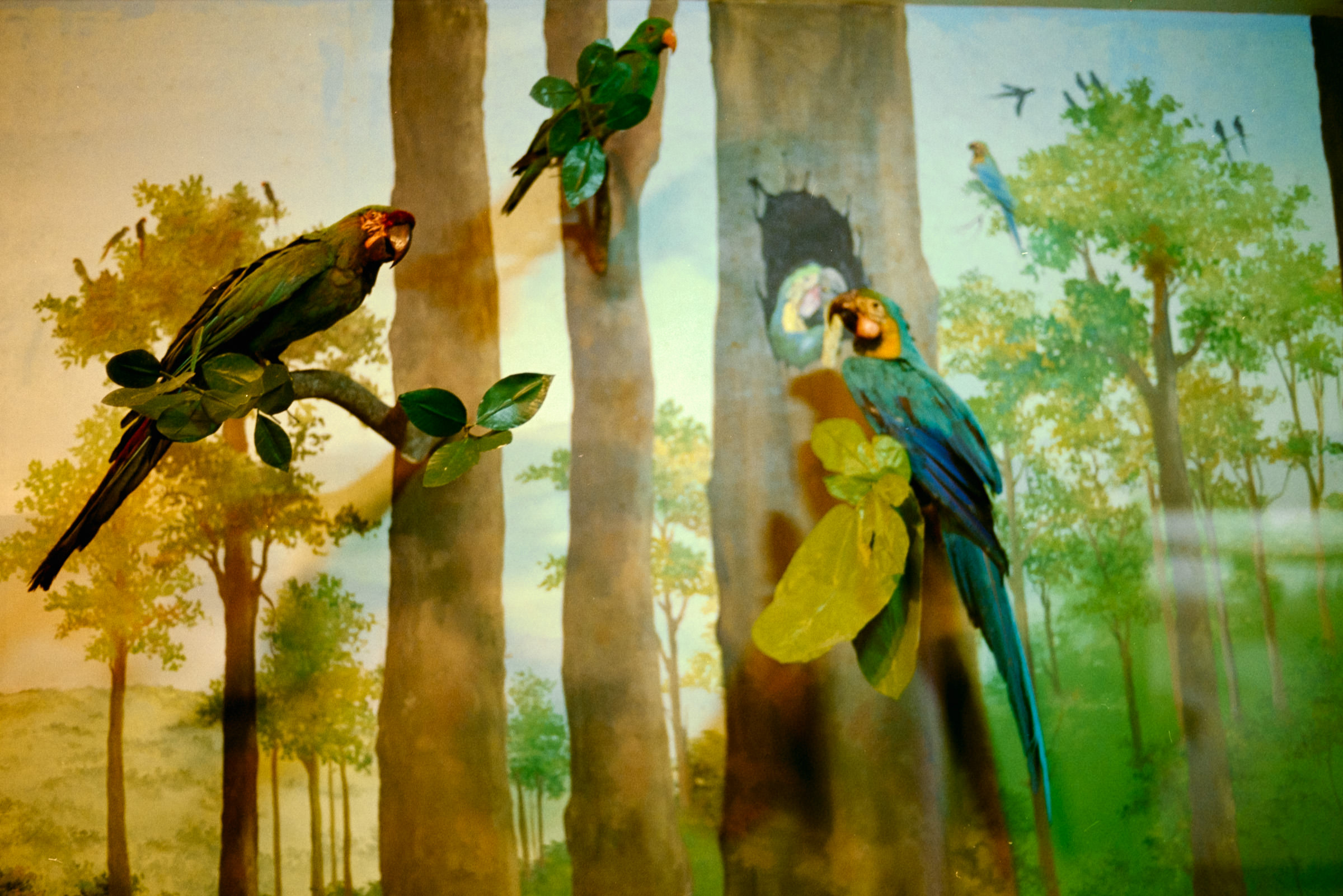 AHP film 2005 01 001 sc240825 img09 NLP